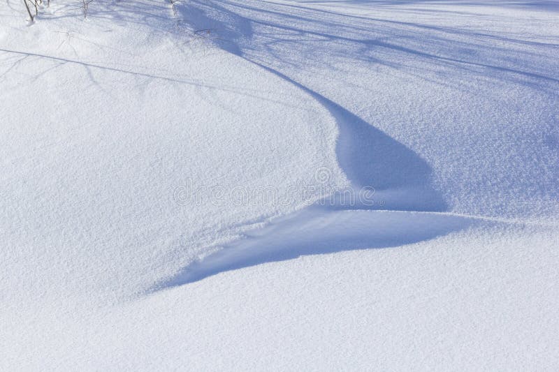 Snow dune with tree shadow forming beautiful pattern royalty free stock images