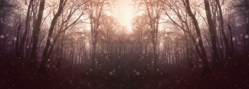 Snow falling in autumn forest