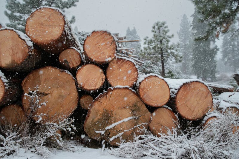 Snow Falling in Front of Large Stack of Logs stock photography