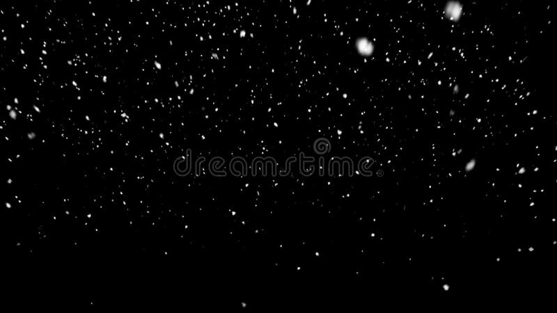 Snow falling stock video footage