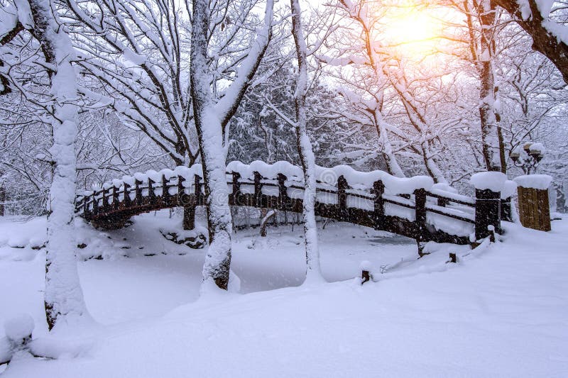 Snow falling in park and a walking bridge in winter.