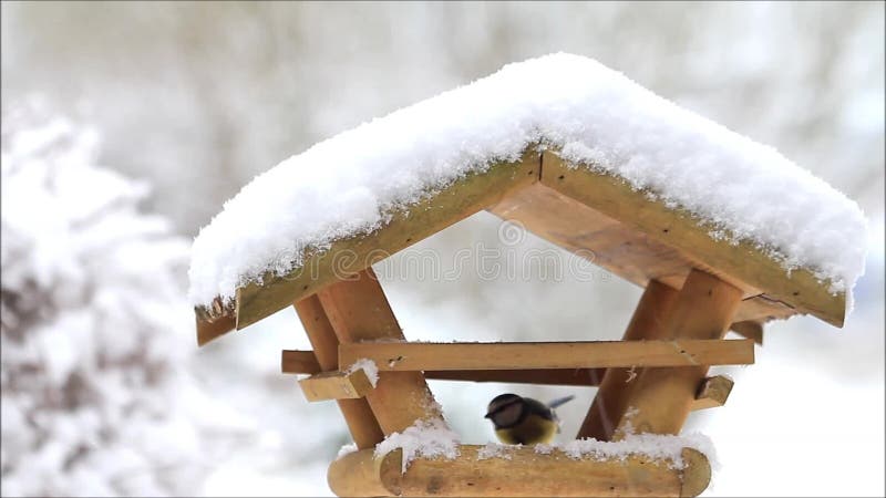 Snow, falling snowflakes on birdhouse, bird feeder, closeup, winter