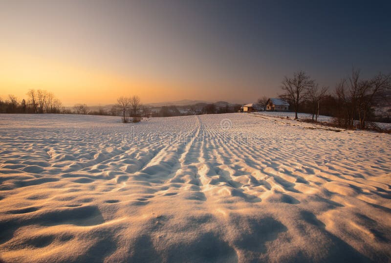 Snow Field