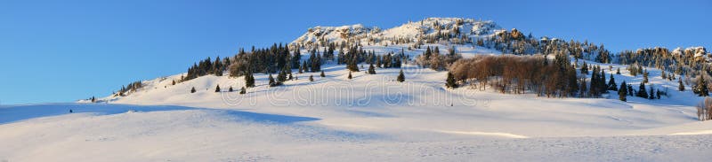 Snow fields