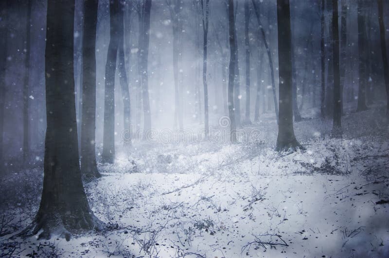 Snow in a frozen dark forest with snowflakes stock photos