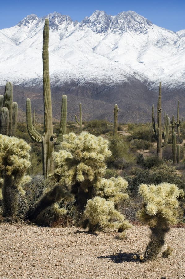 Snow Heaven and Desert Hell stock photos