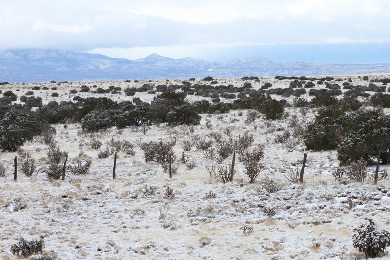 Snow in High Desert Santa Fe, New Mexico