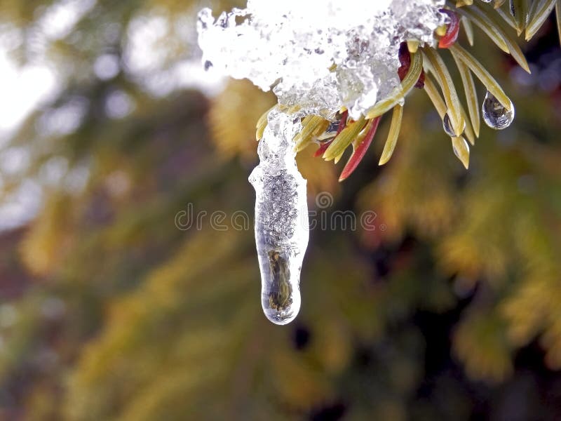 Snow and ice melting in spring