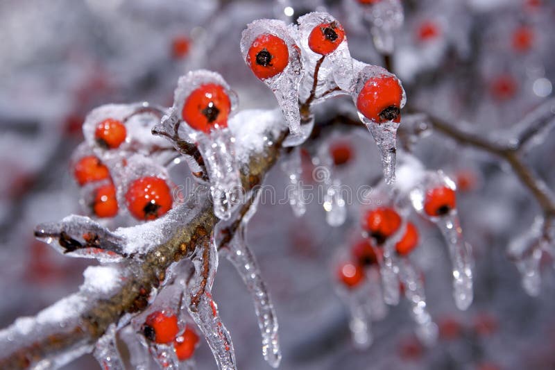 Snow and Ice Storm