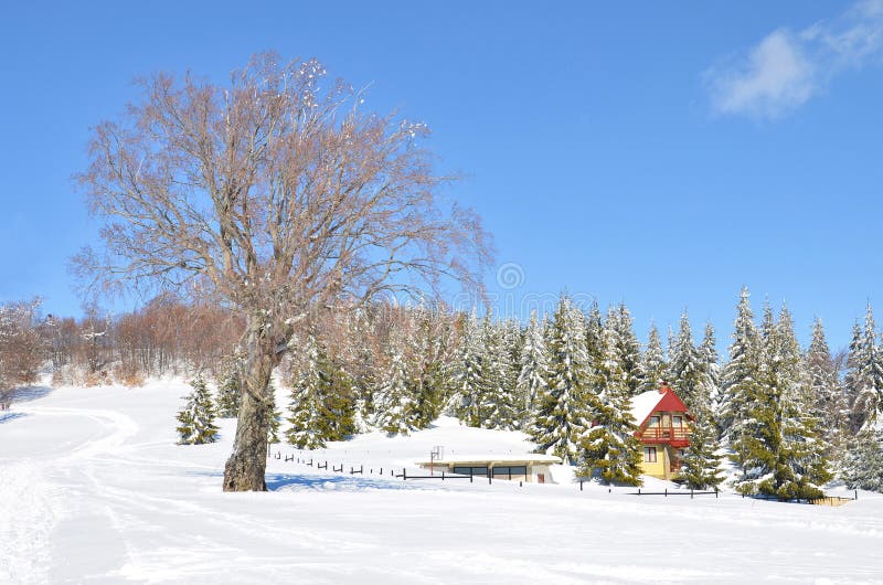 Snow landscape, Macedonia royalty free stock images Snow landscape, Macedonia royalty free stock images