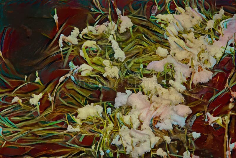 Snow on Leaves in the Pond at the Warm Winter Stock Image Image of