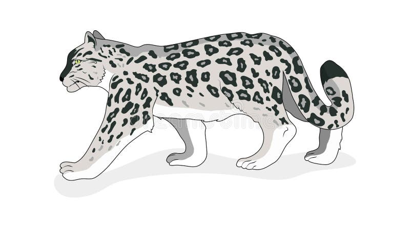 Free Free 217 Snow Leopard Svg SVG PNG EPS DXF File