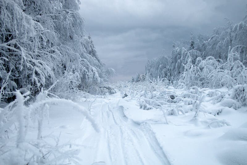 Snow logging road in Siberian snow-covered and frosty forest