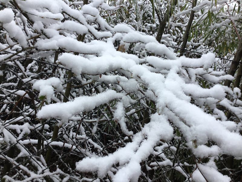 Snow, Marburg Germany 2022 stock photo. Image of marburg 255081776