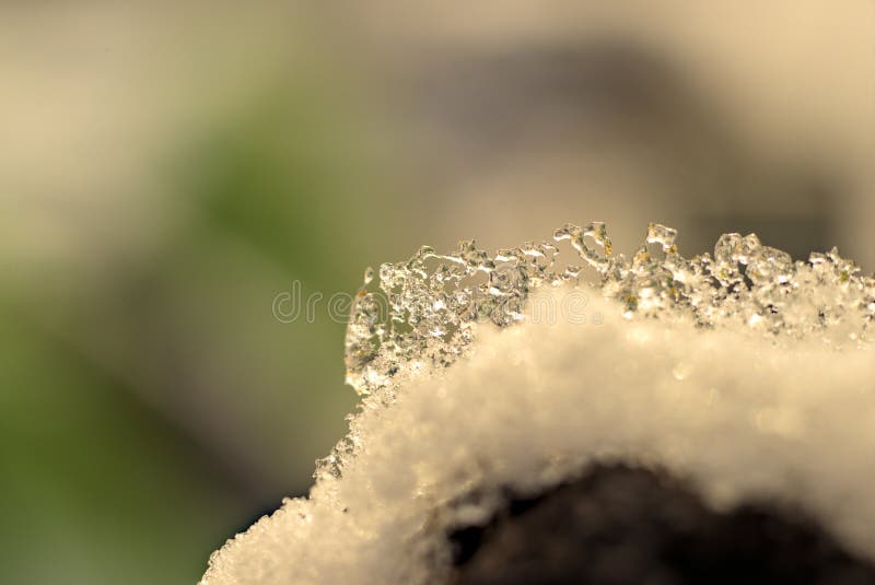 The Snow Melted and Became Ice Stock Photo Image of nature