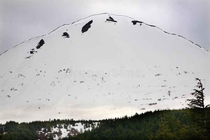 White Snow Mountain Green Tree Outlined against Sky, Seward Highway, Anchorage, Alaska. White Snow Mountain Green Tree Outlined against Sky, Seward Highway, Anchorage, Alaska