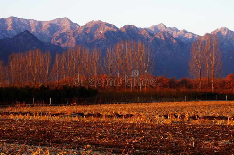 Snow mountains and farmland