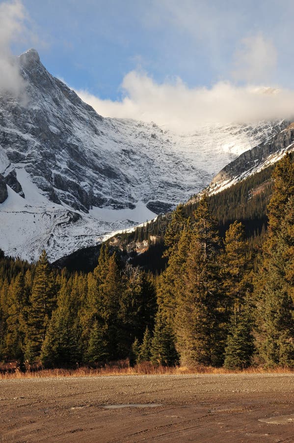 Snow mountains and forests