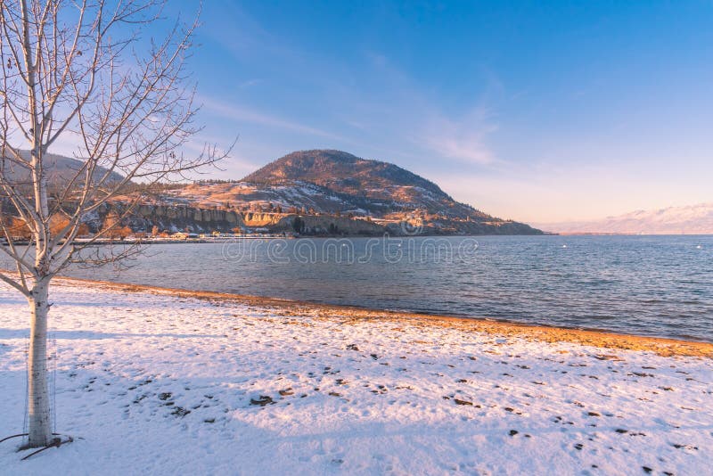 Snow on Okanagan Beach with aspen tree and view of Okanagan Lake and distant mountains at sunset