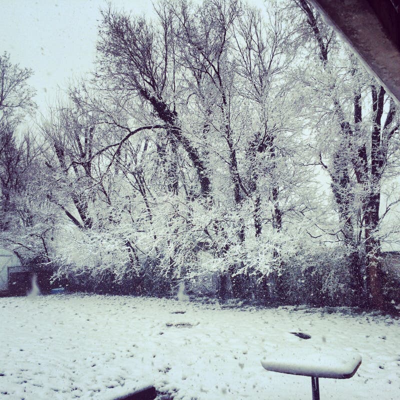 Snow in the ozarks stock photo. Image of snow, winter 43178644