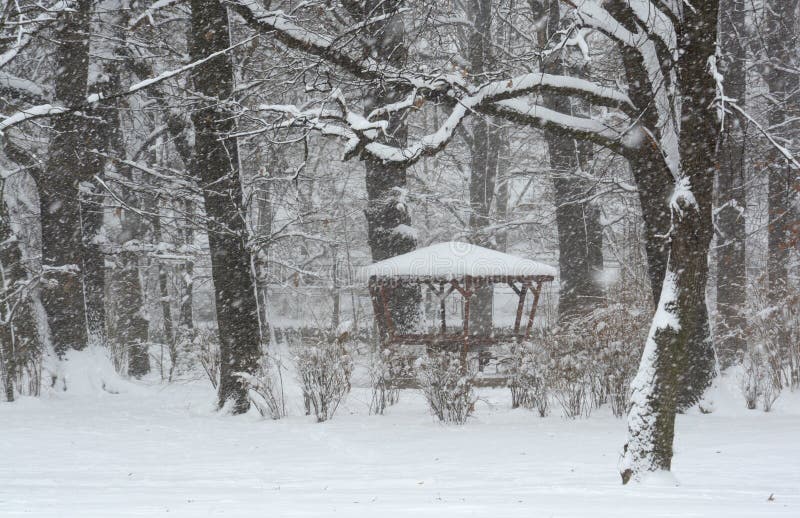 Snow in the Park in Sofia, Bulgaria Dec 29, 2014 Stock Image Image of