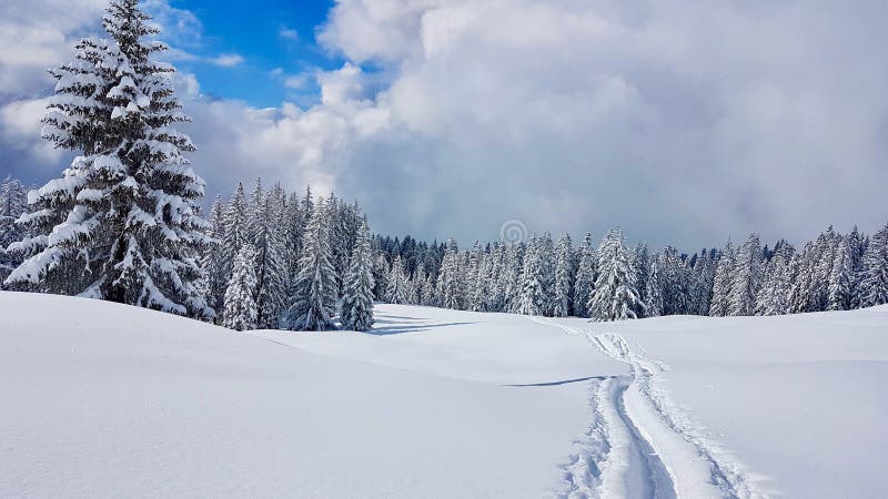 præcedens jul web Snow Path in Idyllic Winter Landscape in the Austrian Alps. Vorarlberg,  Austria. Stock Photo - Image of nature, covered: 234761642