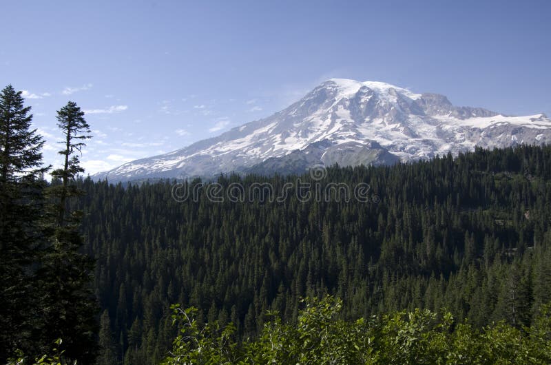 Snow peak forest mount rainier