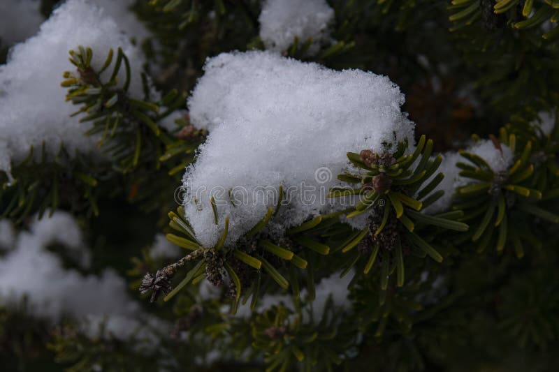 Snow pillow stock photos