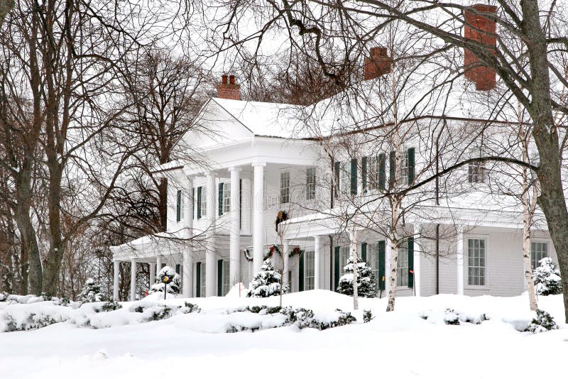 Snow Scene royalty free stock images Snow Scene royalty free stock images