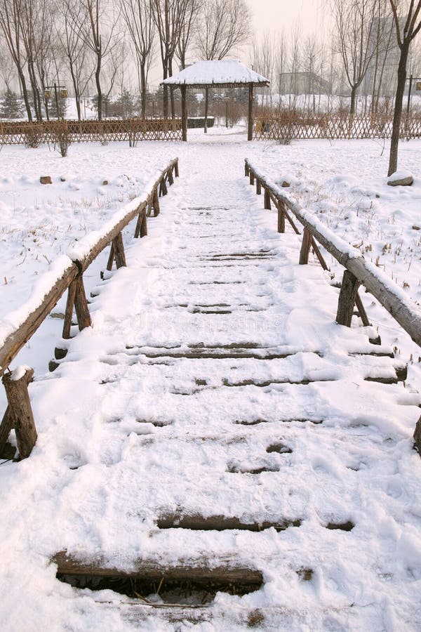 snow scenery header snow scenery header