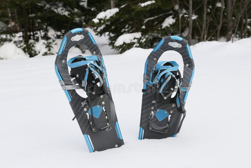 Snow Shoes in Snowbank, Snowshoes Sticking Up Stock Image - Image of ...