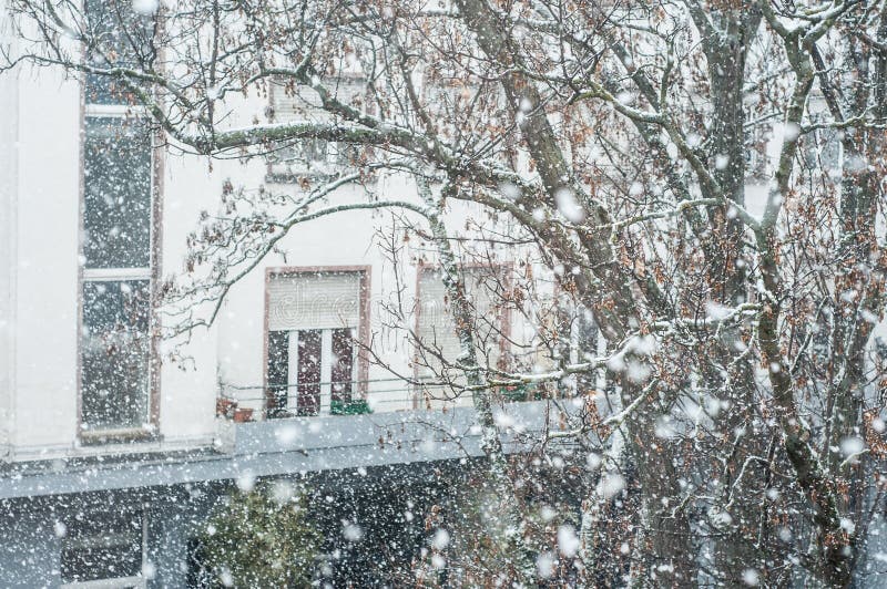 Snow storm in the city royalty free stock image Snow storm in the city royalty free stock image