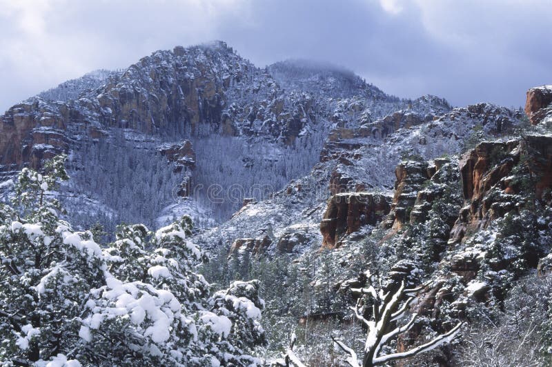 Snow storm over a canyon in Sedona, Arizona