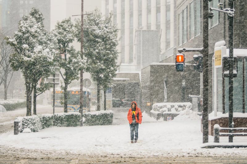 Snow Storm in Yokohama, Japan Editorial Image Image of season, disaster 38088100
