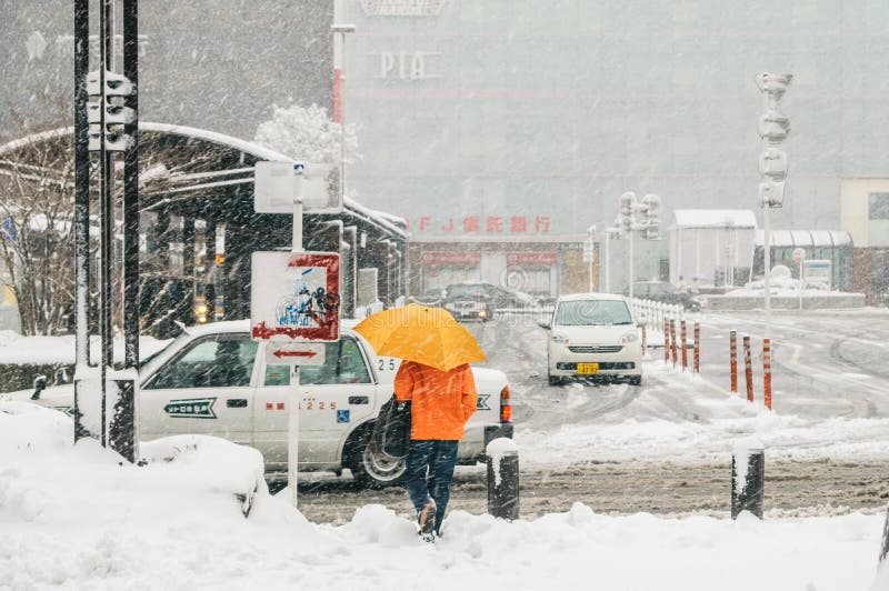 Snow Storm in Yokohama, Japan Editorial Stock Image Image of road, frost 38088244
