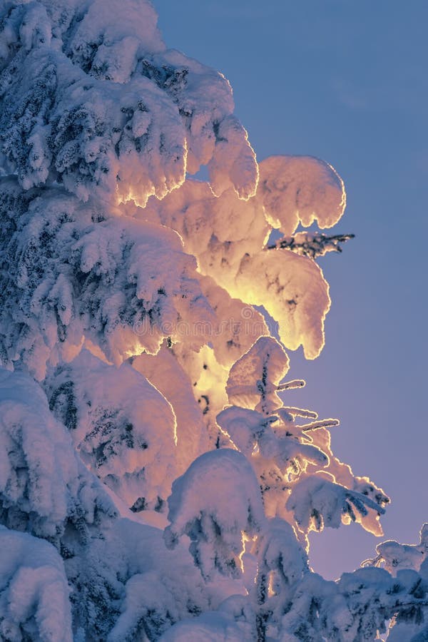 Snow and sunset light