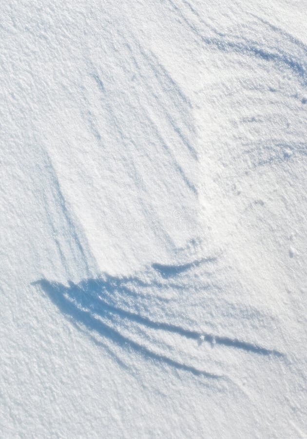 Snow texture