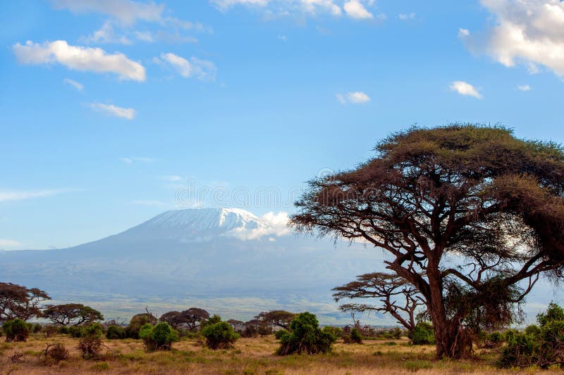 Snow on Top of Mount Kilimanjaro in Amboseli Stock Image - Image of ...