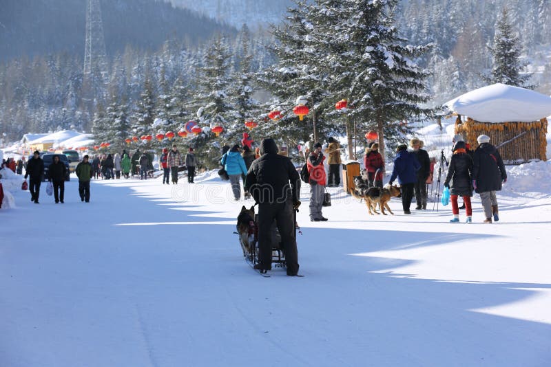 Winter is the best season for tourism to the Shuangfeng forest farm in Northeast China