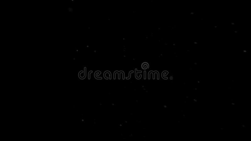 Snow white particles overlay. Transparent background vector illustration