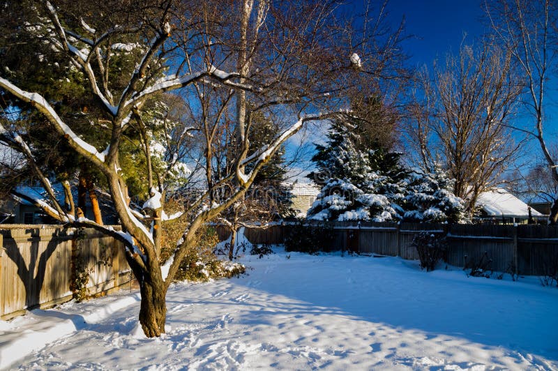 Snow in Yard Final royalty free stock images Snow in Yard Final royalty free stock images