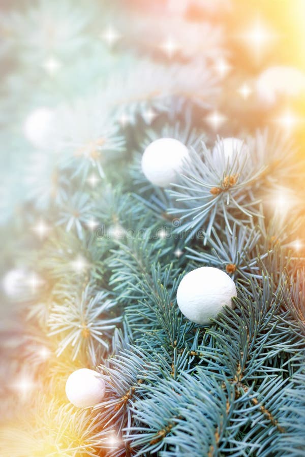 Snowball on christmas tree stock image. Image of pine 46167869