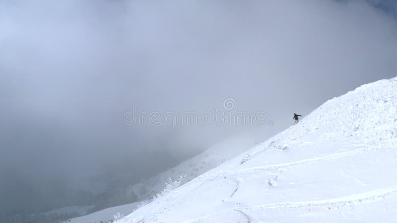 Snowboarder gereinigt, der frei auf Snowboard auf schneebedeckter Steigung des Pulvers auf Winterwaldlandschaft wird downh Vogelp