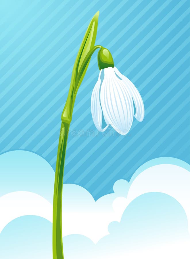 Snowdrop clip art stock vector. Illustration of decoration - 47654060