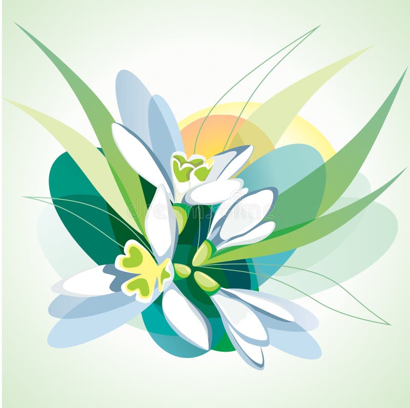 Snowdrops se développants. illustration libre de droits Snowdrops se développants. illustration libre de droits