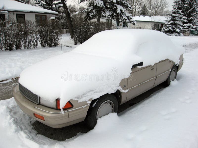 It looks like a good day to take the bus!. It looks like a good day to take the bus!