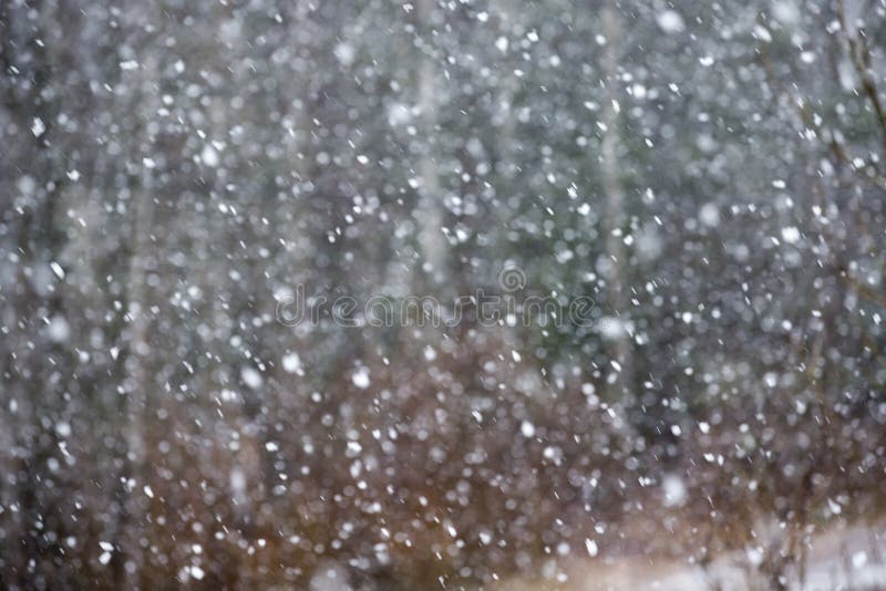 Snowfall. Image of snow blizzard. royalty free stock photo Snowfall. Image of snow blizzard. royalty free stock photo