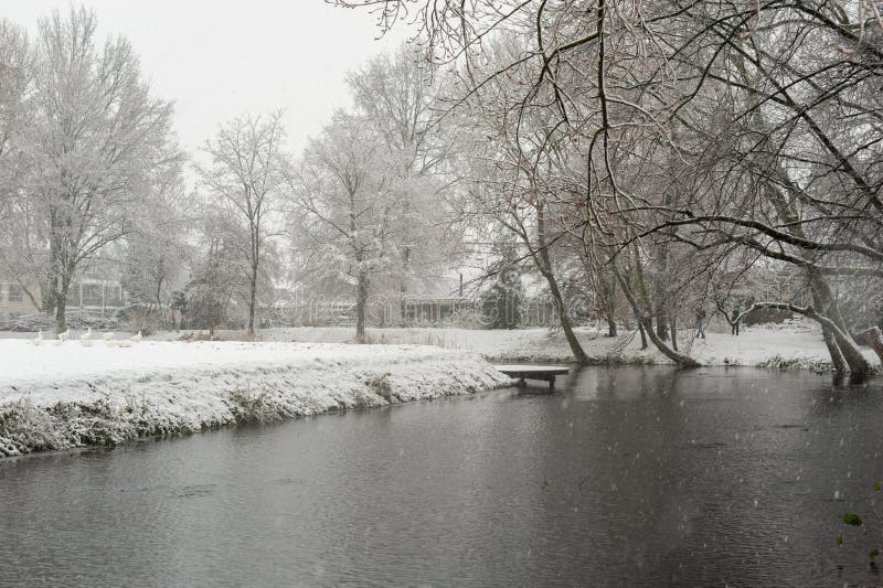 Snowfall in a park with a pond in winter royalty free stock photos Snowfall in a park with a pond in winter royalty free stock photos