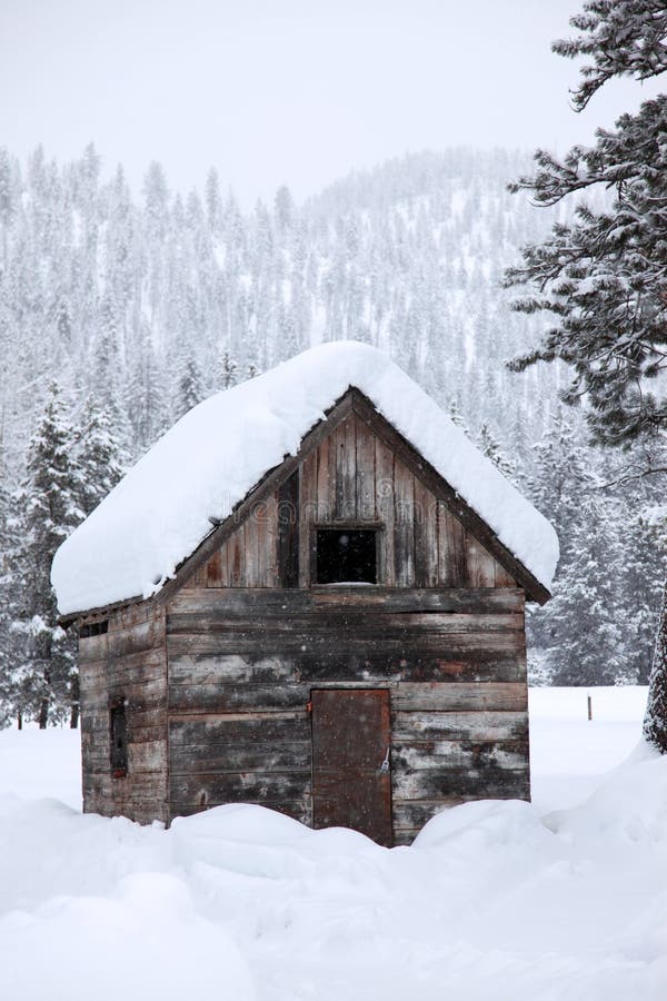 Snowfall in rural area