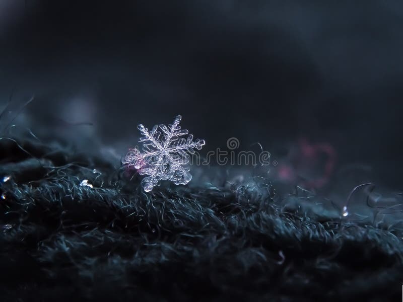 Snowflake Beautiful on the Grey Winter Background Stock Photo - Image